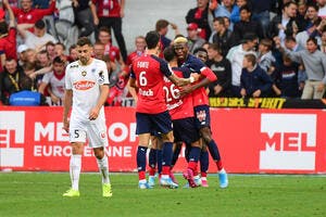 L1 : Osimhen en patron, le LOSC se rassure contre Angers