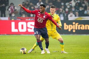 David s'y met aussi, le LOSC s'enfonce