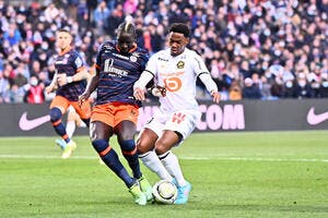 Le LOSC très bien payé à Montpellier