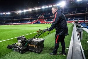 Pas de pigeon au Parc des Princes, le PSG va les virer