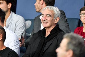 Faute, bagarre, anti-jeu... Domenech a adoré l'OL