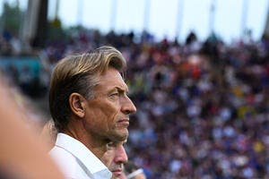 Officiel : Hervé Renard revient sur le banc de l'Arabie Saoudite