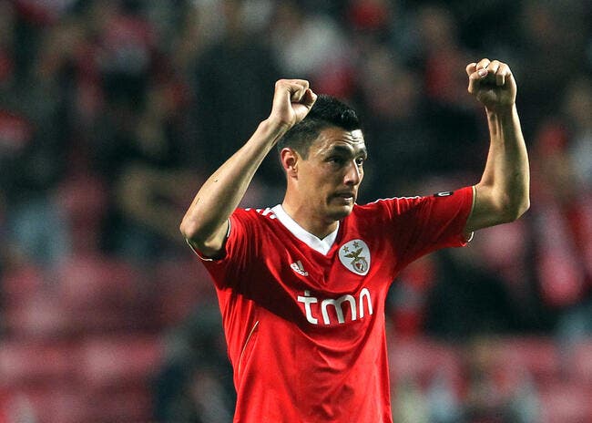 Le PSG négocie avec Benfica pour s'offrir un attaquant international