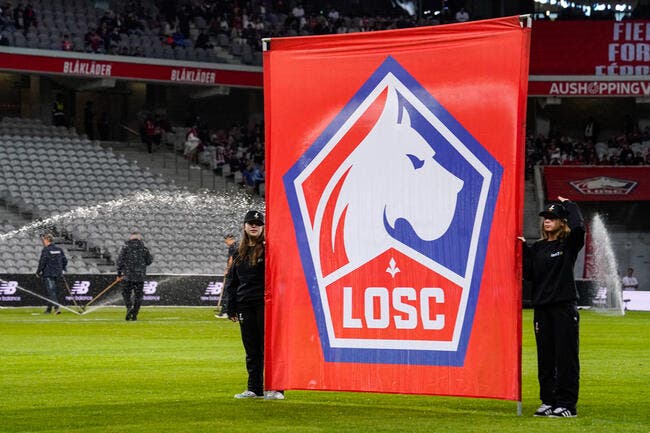 Le LOSC mis en vente, le coup de tonnerre