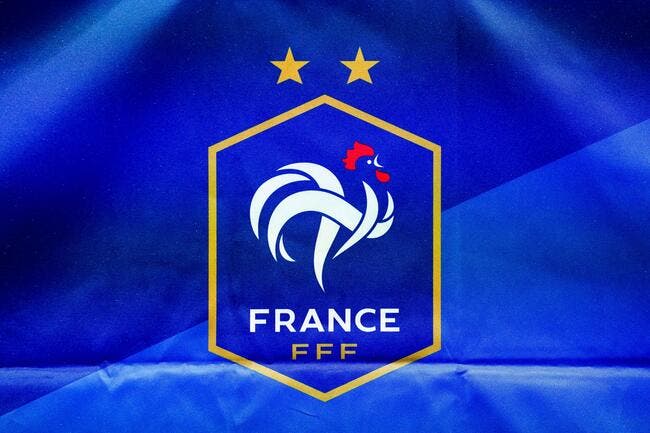 Italie - France : Les compos (20h45 sur TF1)