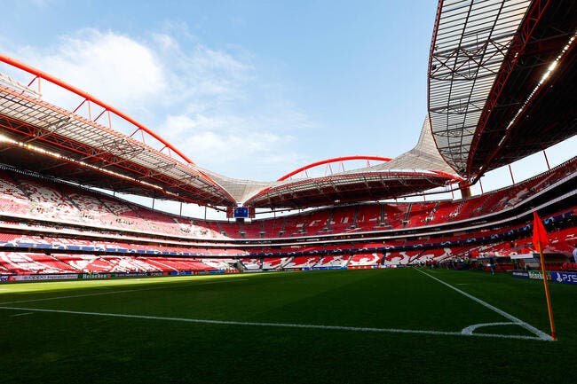 Benfica - Monaco : les compos (21h sur Canal+Foot)