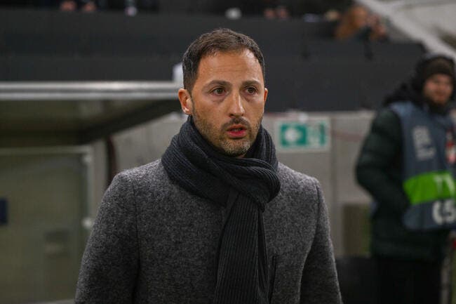 La Belgique limoge Domenico Tedesco